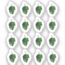 Recherche de monstera autocollants Feuille