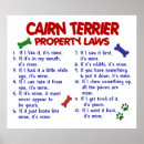 Recherche de terrier cairn posters Humour