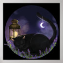 Search for cat dream posters Sleep