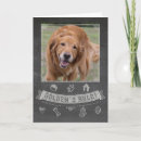Recherche de image de golden retriever Récupérateur doré