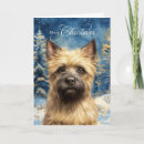 Search for cairn terrier christmas cards Pets