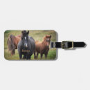 Recherche de étalon accessoires Animal
