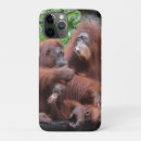 Search for orangutan iphone cases Animals