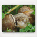 Search for snails mousepads Slug