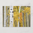 Search for intimation postcards Intimate