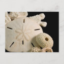 Recherche de assortiment cartes postales Détail