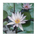 Recherche de lilypads carreaux Fleurs
