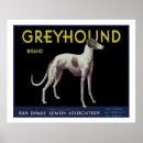 Search for vintage racing posters Animal