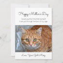 Search for mothers day fur babies Feline