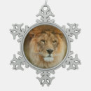 Search for south africa ornaments Wildlife
