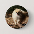 Search for fallen buttons Autumn