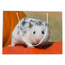 Search for hamster gift bags Funny