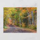 Recherche de gravier cartes postales Automne