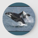 Search for breaching posters Killer whale