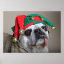 Search for funny christmas posters Pets