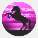 Recherche de chevaux noirs Pour enfants