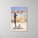 Search for boot canvas prints Photography