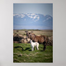 Recherche de jument posters Photo de cheval