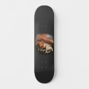 Recherche de animal de ferme skateboards Animaux