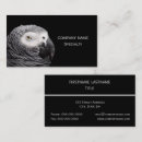 Recherche de africaine cartes visite Animaux