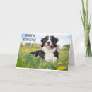 Search for veterinarian birthday cards Dog