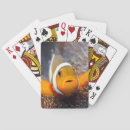 Search for aquatic playing cards Aquarium