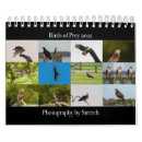 Search for birds of prey calendars Photography