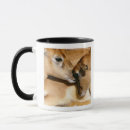 Search for antelope mugs Wildlife