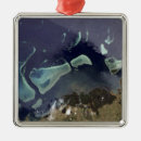 Search for landing ornaments Ocean