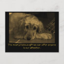 Recherche de canines vœux cartes Dog
