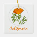 Search for california ornaments Souvenir