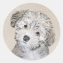Recherche de chien bichon autocollants Chiot