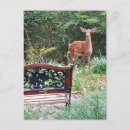 Recherche de fauve cartes postales Pour tous