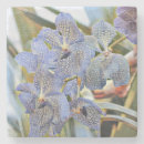Recherche de orchidée dessous de verres Peinture