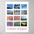 Search for colourful posters Photography