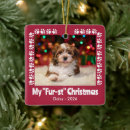 Search for paw with ornaments Dogs