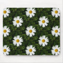 Search for marguerite electronics Daisies