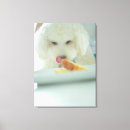 Search for poodle canvas prints Vertical