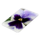 Search for pansies magnets Purple