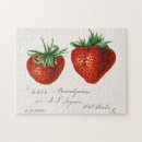 Recherche de fraisse puzzles Fruit