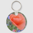 Search for mohnblume Poppy