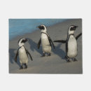 Search for demersus Animal wildlife