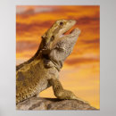 Recherche de blooded posters Animals