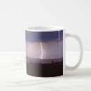 Search for lifeguard mugs Florida