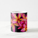Search for frangipani flowers mugs Floral