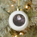 Search for bald eagle ornaments Wildlife