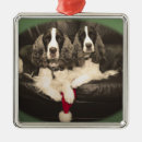 Search for liver ornaments Santa