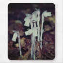Recherche de natur mousepads Fleur