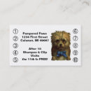 Search for dog grooming business supplies Sitting