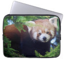 Search for children s birthday electronics Animal